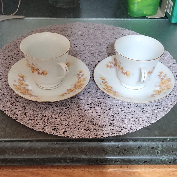 Vtg.Floral Teacup and Saucer Set